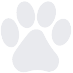 Paw Print - We are pet friendly.